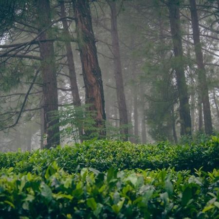 Himalaya Mount View Resort Kausani Eksteriør bilde